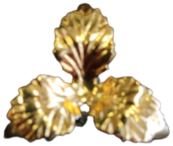 hoja, feuille, leaf, foglio