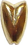 bead