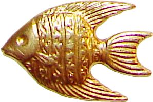 pez peces fish fishes poisson pesce pesci