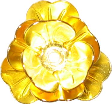 rosas flores flowers