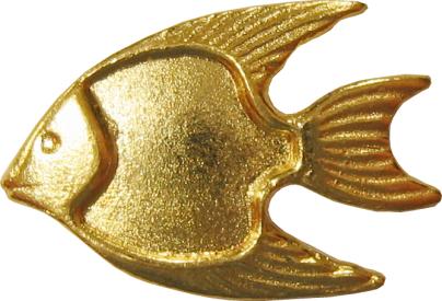 pez peces fish fishes poisson pesce pesci