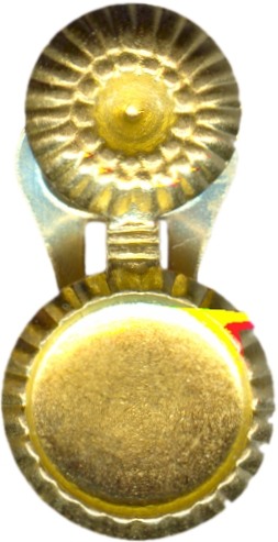 clips pour oreilles non percees