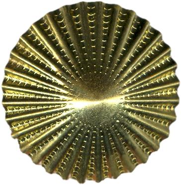 Bouton bottone button bot&oacute;n botones cone cono