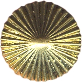 Bouton bottone button bot&oacute;n botones cone cono