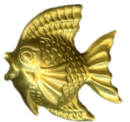 pez peces fish fishes poisson pesce pesci