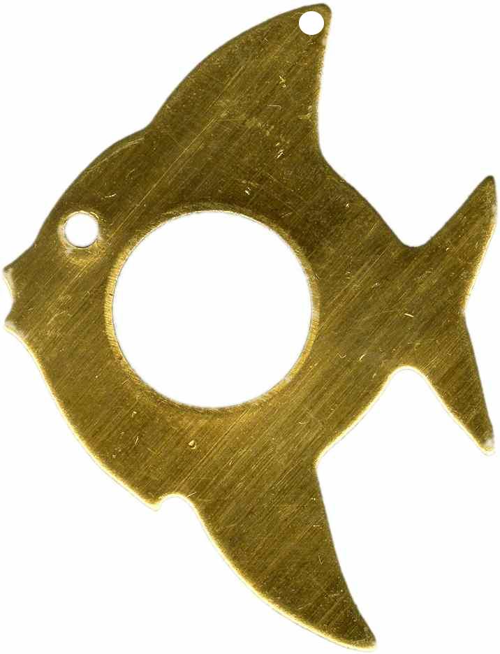 pez peces fish fishes poisson pesce pesci