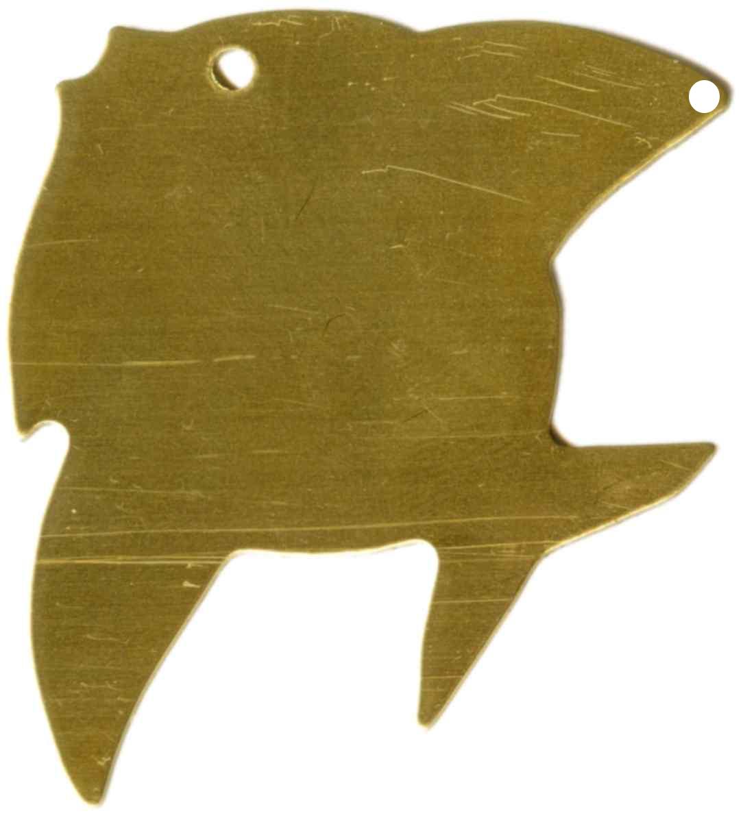 pez peces fish fishes poisson pesce pesci