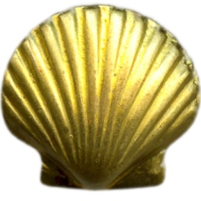 seashell