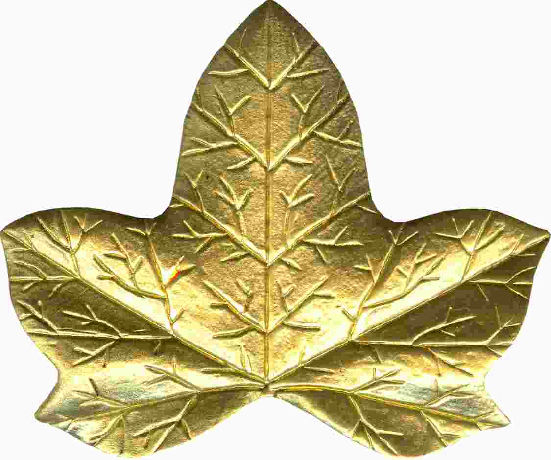 hojas leafs