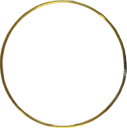 cr&eacute;ole Cerceaux boucle d'Oreille