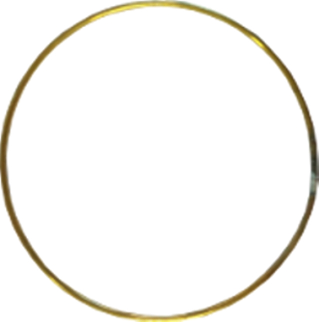 cr&eacute;ole Cerceaux boucle d'Oreille